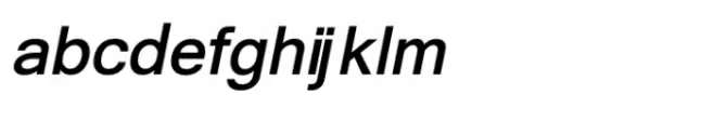 Shree Gujarati 2503 Bold Italic