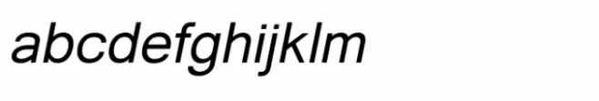 Shree Gujarati 2503 Italic