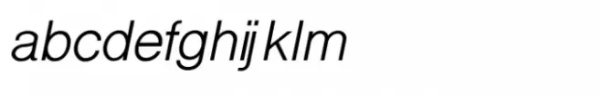 Shree Gujarati 2525 Italic