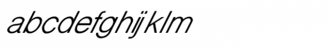 Shree Gujarati 3306 Italic