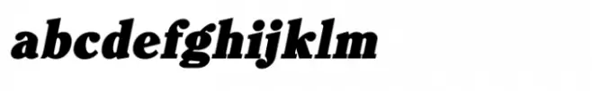 Shree Gujarati 3320 Italic