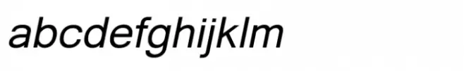 Shree Gujarati 3322 Italic