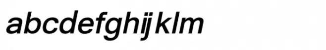 Shree Gujarati 3323 Italic