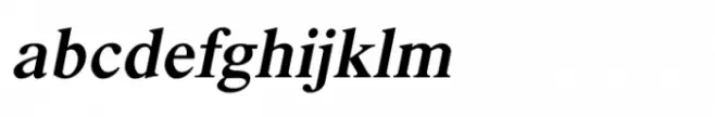 Shree Gujarati 3325 Italic