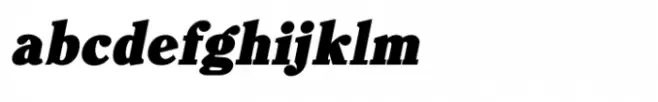 Shree Gujarati 3329 Italic