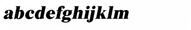 Shree Gujarati 3330 Italic