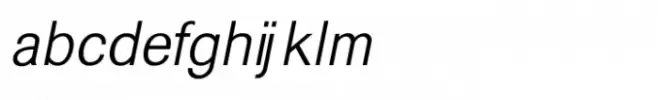 Shree Gujarati 3336 Italic