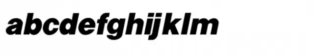 Shree Gujarati 3343 Bold Italic