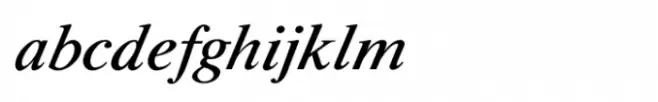Shree Gujarati 3356 Italic