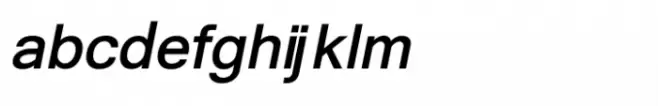 Shree Gujarati 3387 Bold Italic