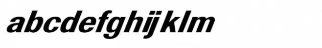 Shree Gujarati 5201 Italic
