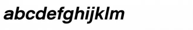 Shree Gujarati 5204 Italic