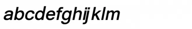 Shree Tamil 1364 Bold Italic