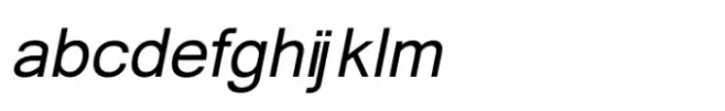 Shree Tamil 2800 Italic