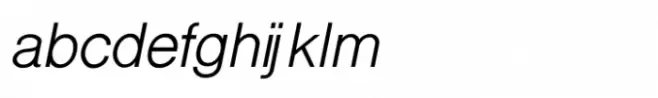 Shree Tamil 2821 Italic