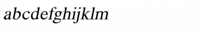 Shree Telugu 4700 Italic