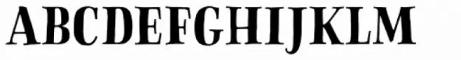 Sofa Serif Hand Bold Display