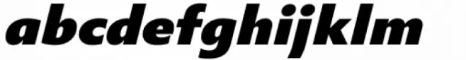 Statement Sans Black Italic
