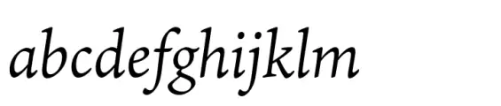 Ten Mincho Text Italic