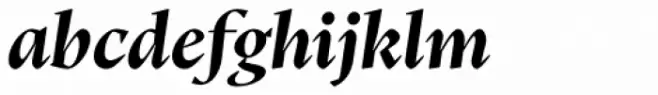 Teramo Display Bold Italic