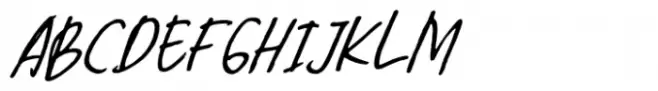 The Lazy Cat Writes Italic