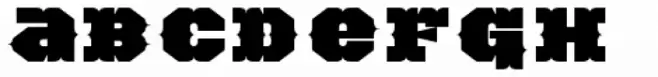 TigerCat BX 300 Black