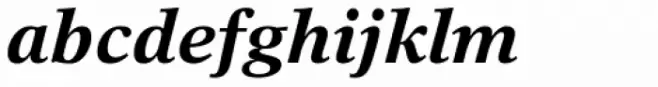 Times Europa Office Std Bold Italic