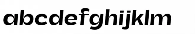 Total Black Bold Italic