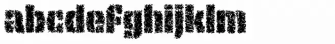 Tripper Rough Pro ExtraBold