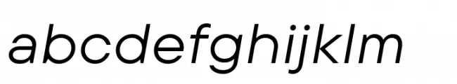 TT Commons Pro Expanded Italic