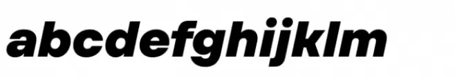 TT Firs Text Black Italic