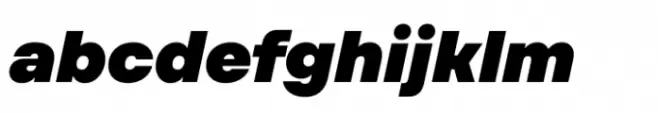 TT Firs Text ExtraBlack Italic