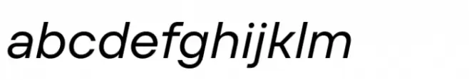 TT Firs Text Normal Italic
