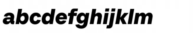 TT Neoris Bold Italic