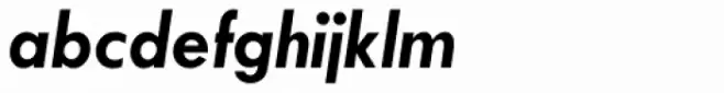 Twentieth Century Std Bold Italic