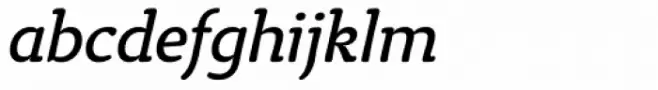 Tyke Book Italic
