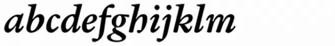 Verdigris MVB Pro Text Bold Italic