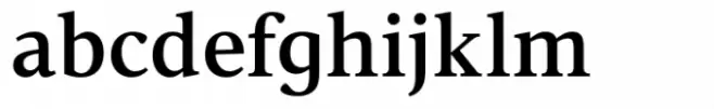 Vernacular Serif Medium