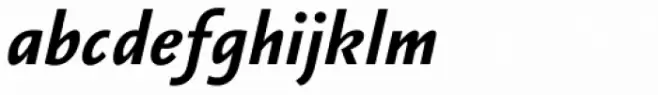 Vianova Sans Pro Extra Bold Italic