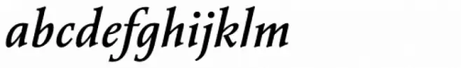 Vianova Serif Pro Medium Italic