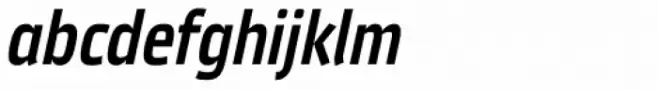 Vida 23 Pro Italic