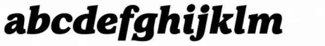 Walden Black Italic