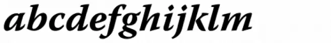 Warnock Pro Caption Bold Italic