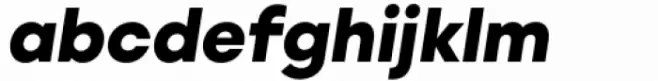 Willgray B Black Italic