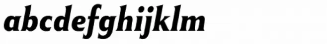 Winsel Condensed Ex Bold Italic