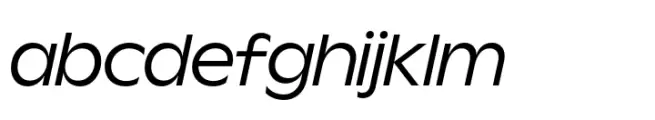 Wordmark Display Book Italic