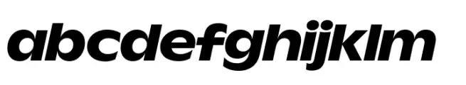Wordmark Display Semi Bold Italic